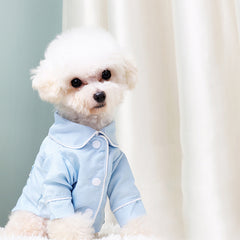 French Small Incense Style Fighting Pet Clothes Dog Pajamas in light blue on a cute dog.