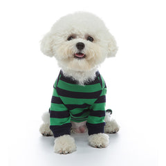 Fashion Personality Home Dog Clothes in striped green and navy sweater on a fluffy dog.