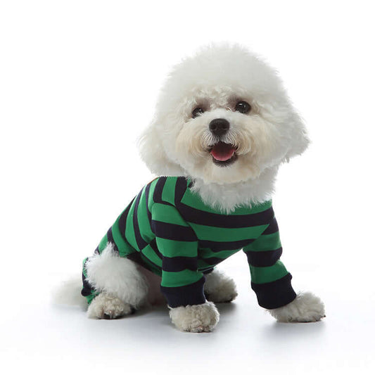 Adorable fluffy dog wearing a green and black striped pajama, showcasing playful pet fashion.