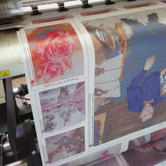 Painted monkey, diamond and diamond painting