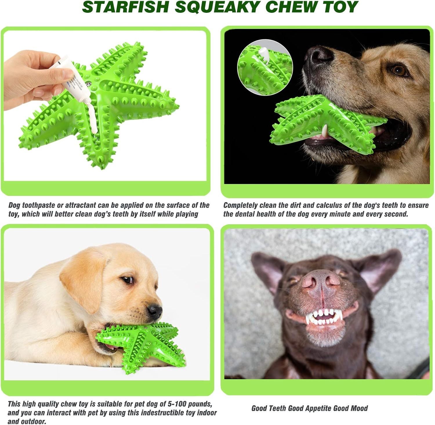 Sounding Starfish  The Natural Toothbrush For Small And Medium Dogs Starfish Natural Tooth Brush Teeth Cleaning
