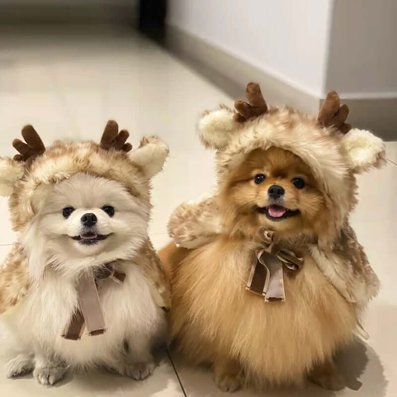 Christmas Pet Clothing Elk Cape Cloak on two cute Pomeranians with reindeer hoods, perfect for festive occasions.