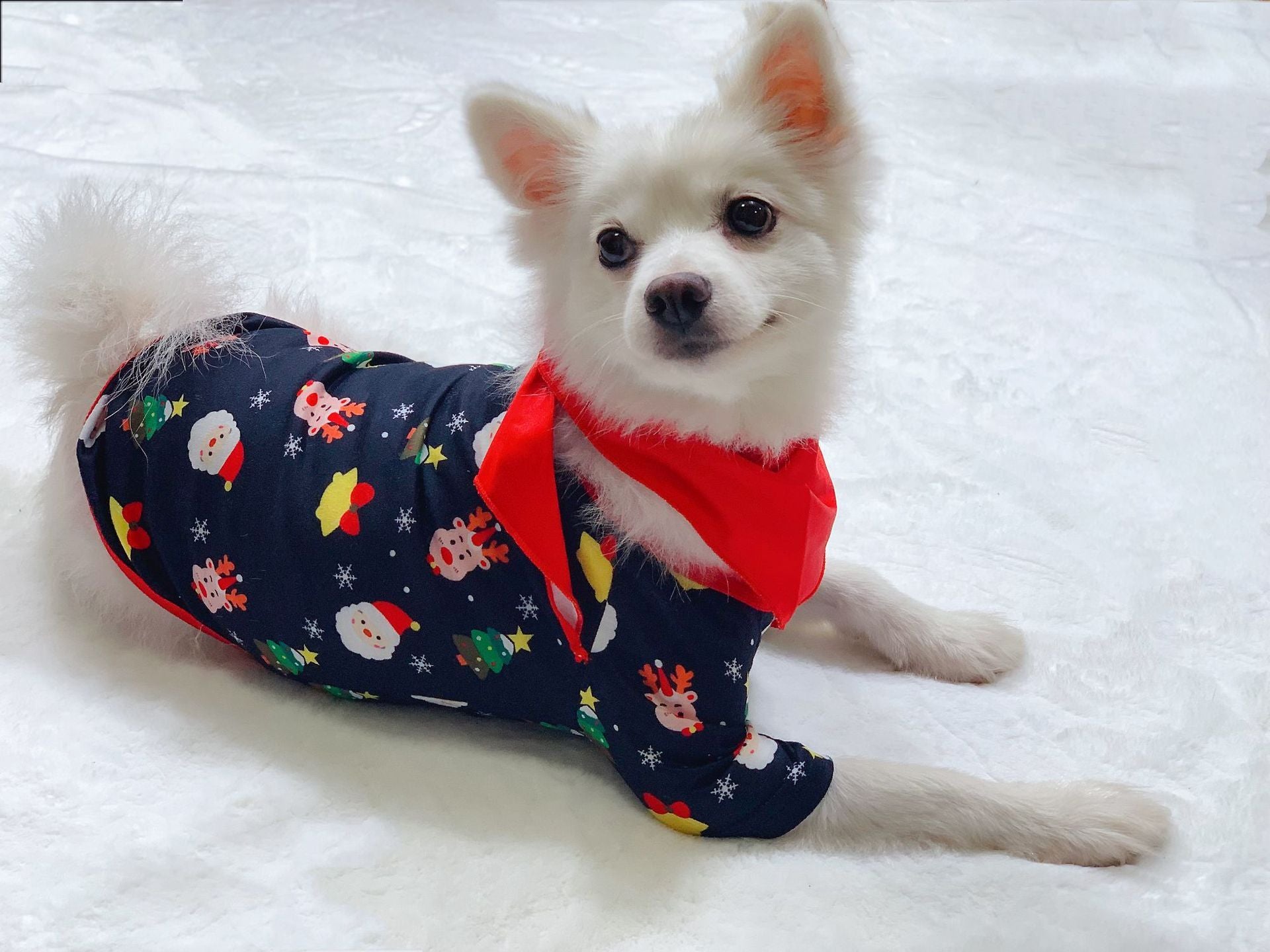Family Christmas Matching Pajamas Set Christmas Pajamas For Family Christmas PJS Xmas Sleepwear for a cute dog wearing festive attire.