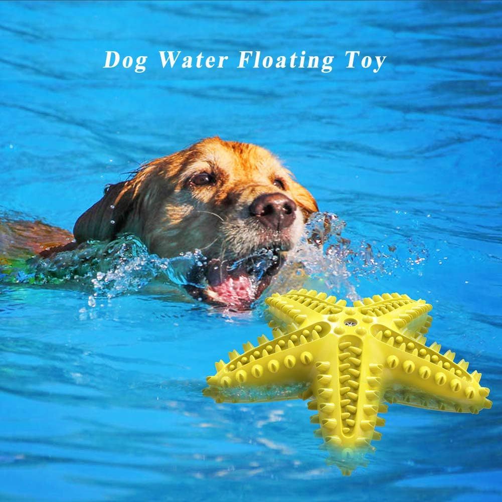 Sounding Starfish  The Natural Toothbrush For Small And Medium Dogs Starfish Natural Tooth Brush Teeth Cleaning